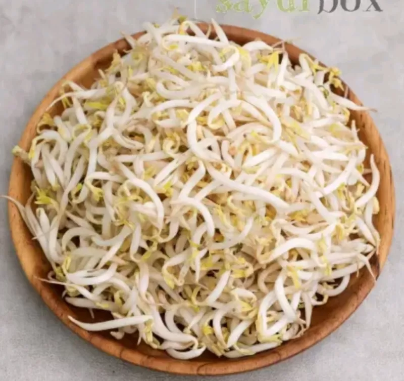 Tauge panjang konvensional 250gr sayur box